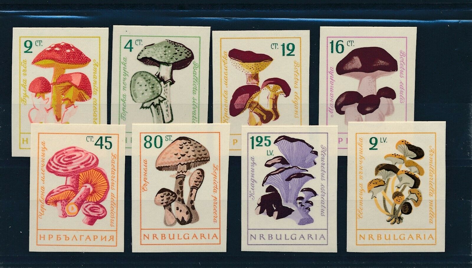 1961 Bulgaria Scott 1183-90 Imperf Complete Set Mint Never Hinged Mushrooms #154